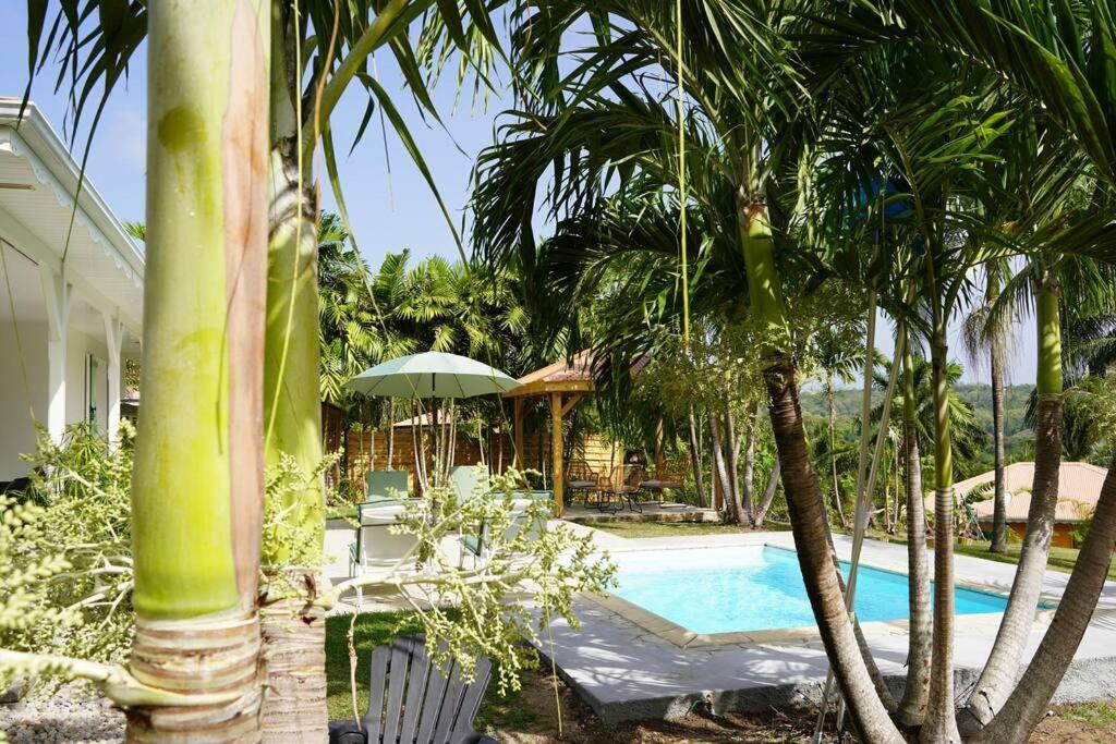 Villa Les 4 Colibris, 3 Chambres, Piscine, Jardin Et Vue Imprenable ! Le Vauclin Luaran gambar