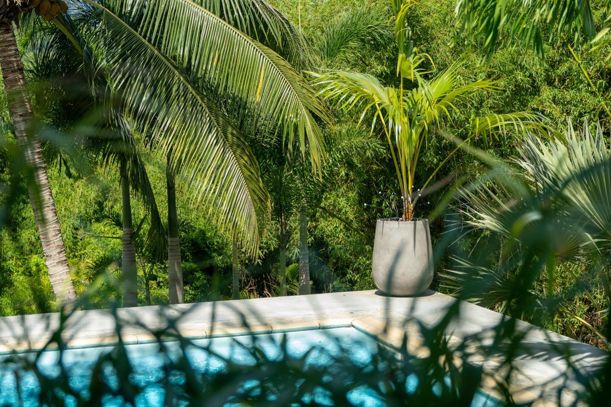 Villa Les 4 Colibris, 3 Chambres, Piscine, Jardin Et Vue Imprenable ! Le Vauclin Luaran gambar